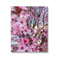 SPUPELL SPRING Cherry Blossom дърво Природа ботаническа и флорална фотография Галерия Опаковано платно от печат стена изкуство