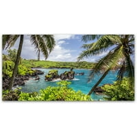 Търговска марка изобразително изкуство 'тропически рай Мауи' платно изкуство от Пиер Льоклер
