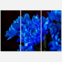 Дизайнарт 'Синя Хризантема Цветя На Черен Фон' Традиционно Платно Принт За Стена
