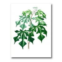 Антични зелени листа растения живопис платно Арт Принт