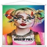 Филм на комикси - птици на плячка - тийзър стенен плакат с магнитна рамка, 22.375 34