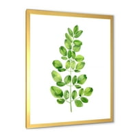 Моринга Растение Клон Тропическо Дърво Зеленина Рамка Живопис Платно Изкуство Печат