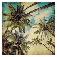 Художествена галерия шедьовър остров Кауай палми от Мишел Опенхаймер платно снимка Арт Принт 35 35